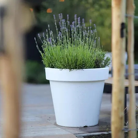 Semesterbostad Kek Aan De Maas Op-Andel