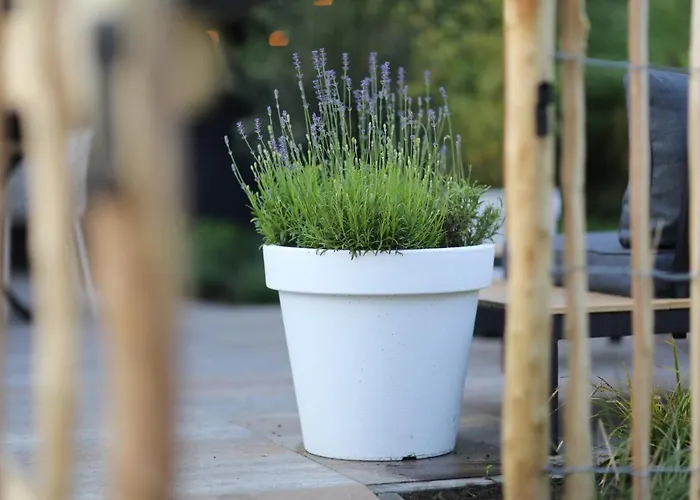 Сasa de vacaciones Kek Aan De Maas Op-Andel