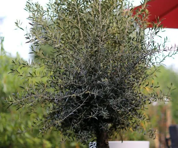 Сasa de vacaciones Kek Aan De Maas Op-Andel